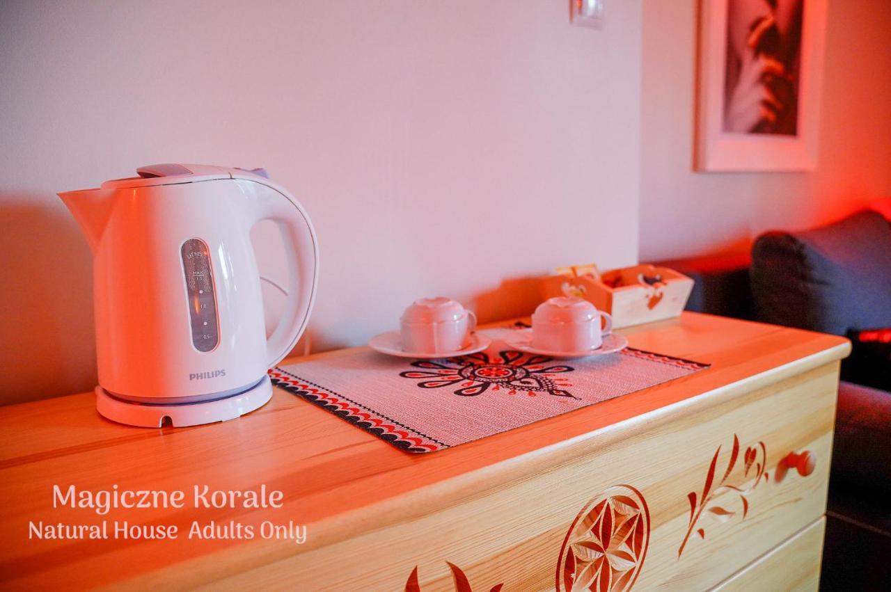 Magiczne Korale - Kameralne Miejsce Na Odpoczynek Dla Doroslych - Adult Only Koscielisko Ngoại thất bức ảnh