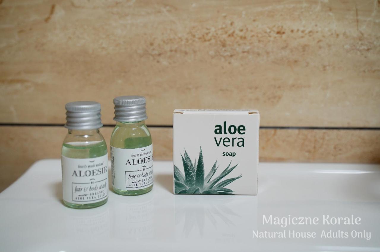 Magiczne Korale - Kameralne Miejsce Na Odpoczynek Dla Doroslych - Adult Only Koscielisko Ngoại thất bức ảnh
